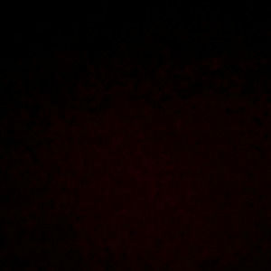 Meet your Posher, Alysa